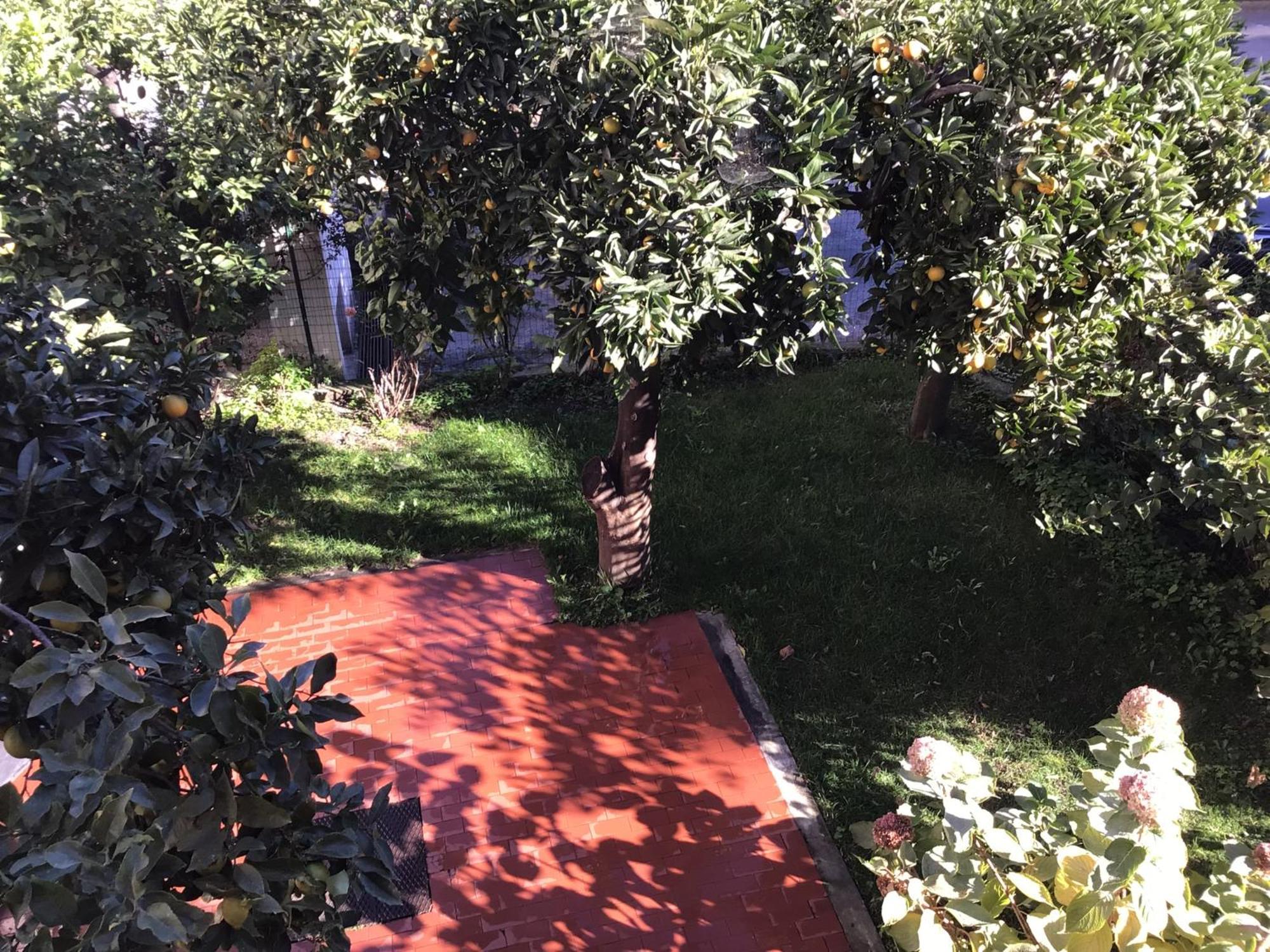 Casa Luigia Rooms Mtb In Finalborgo Bike Room Tour Ebike Trekking Finale Ligure Extérieur photo
